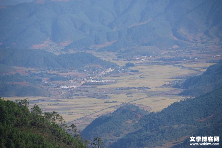 八二桥的女医生