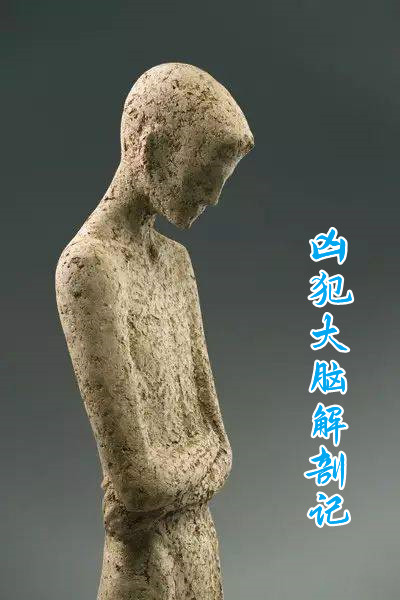 凶犯大脑解剖记