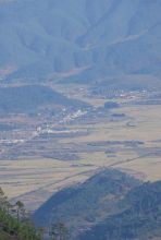 八二桥的女医生