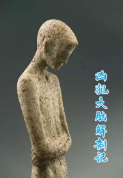 凶犯大脑解剖记