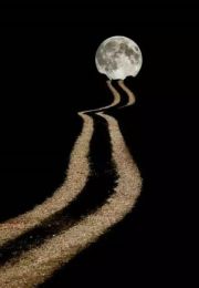 太阳岛上的月亮